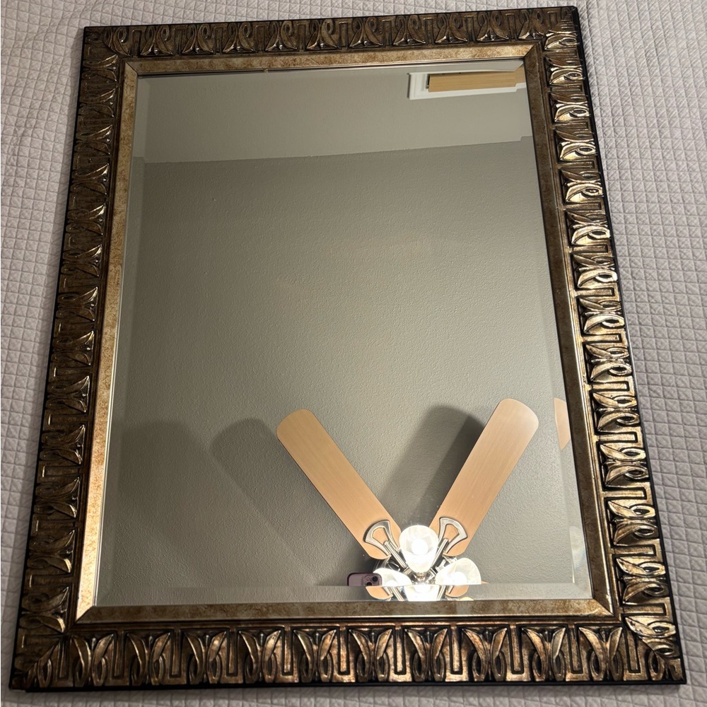 Home Collection Antique Gold Framed Wall Mirror